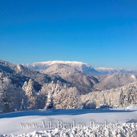 Vila Brad Предял Экстерьер фото