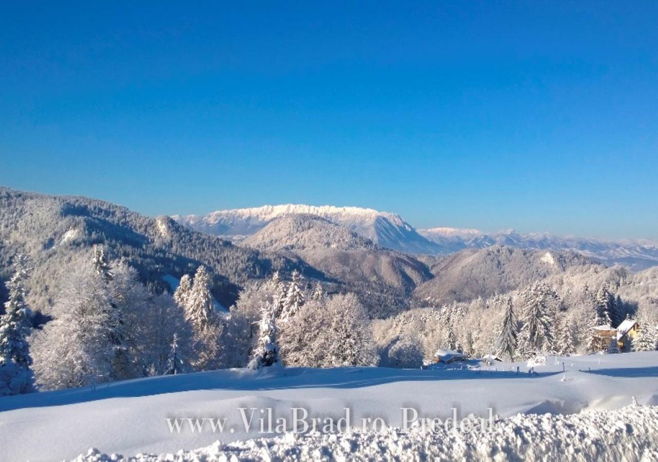 Vila Brad Предял Экстерьер фото